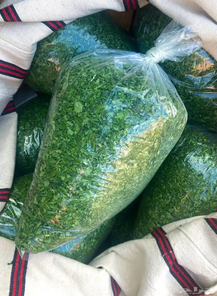 مورينجا عضوية بالجمله 1