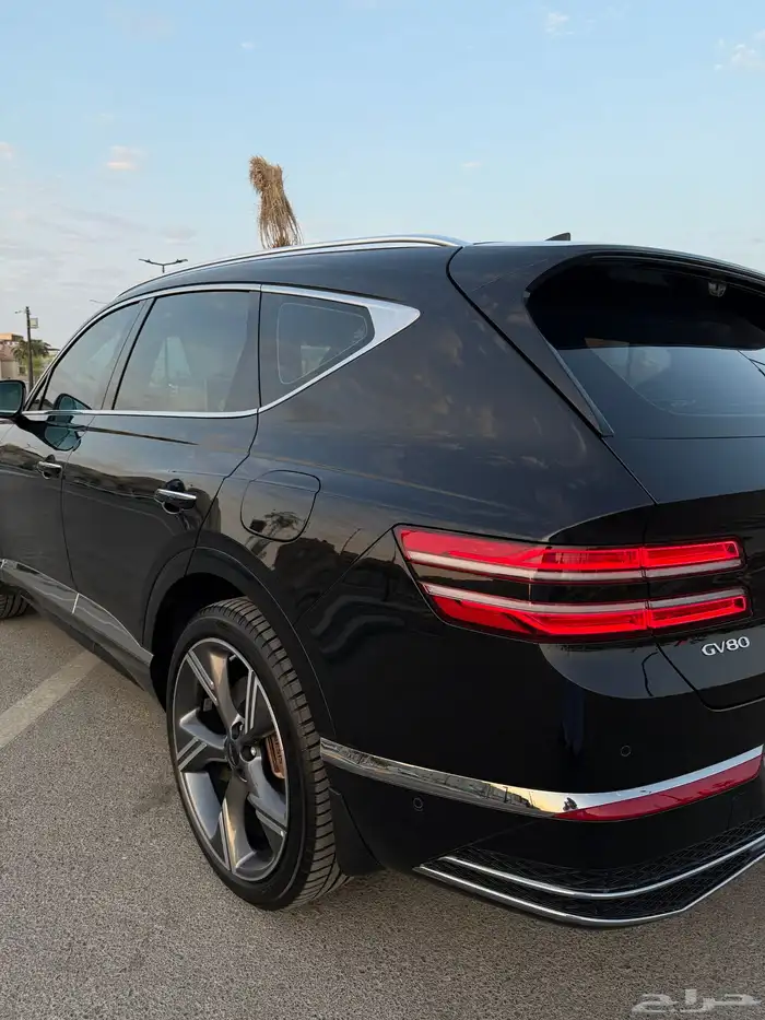 GV80 شبة اصفار اعلى فئة الوعلان 8