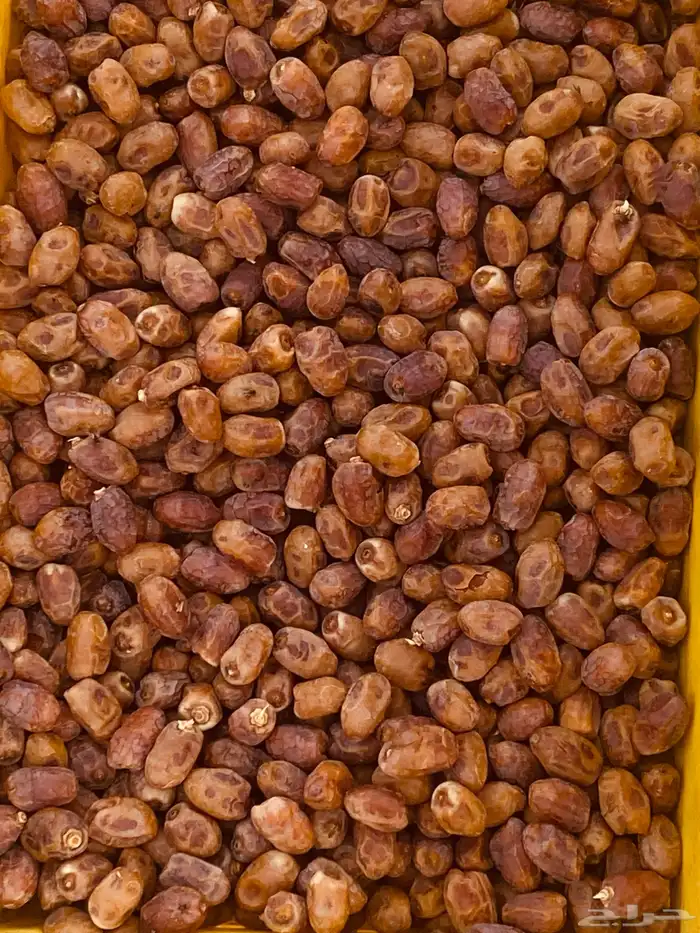 صناديق تم خلاص 3