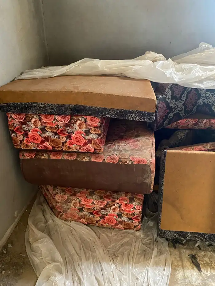 كنبات كنب اسفنج 5