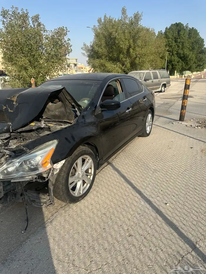 التيما 2013 3