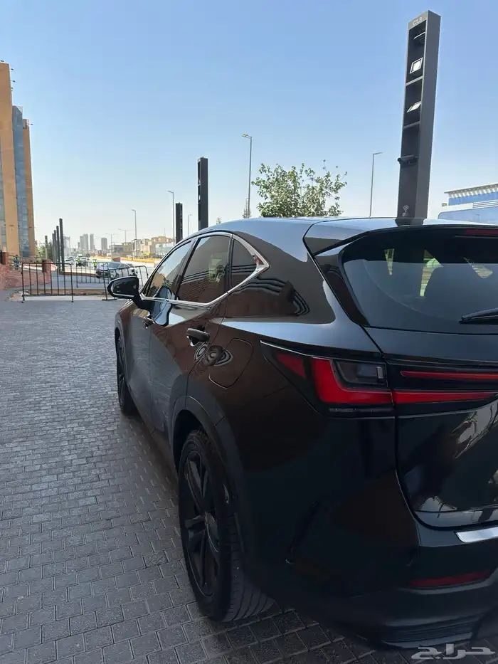 لايوجد 6