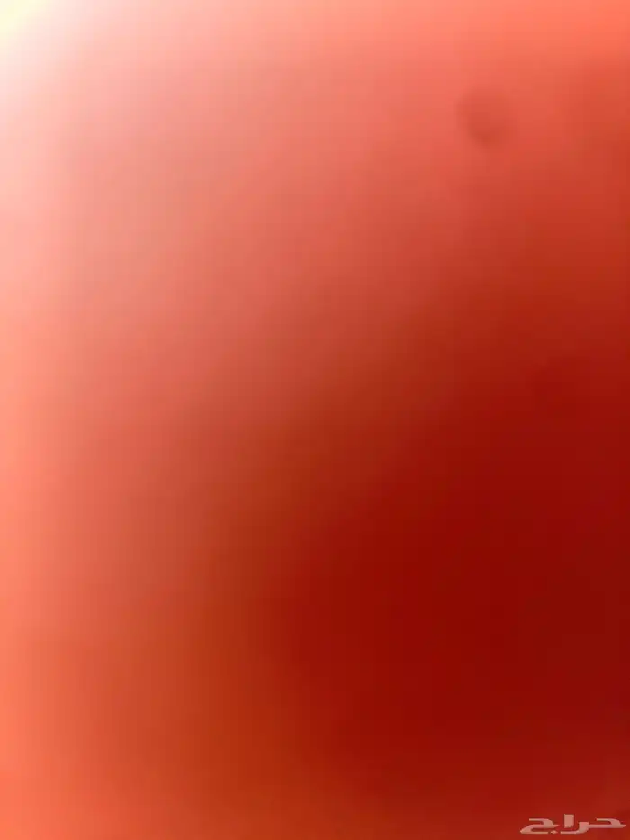 للبيع حمام مشكل كلهن اجواز كلهن تحت بيصهن شرط انتاج 0