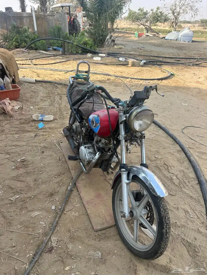دباب رامبو 150cc 1
