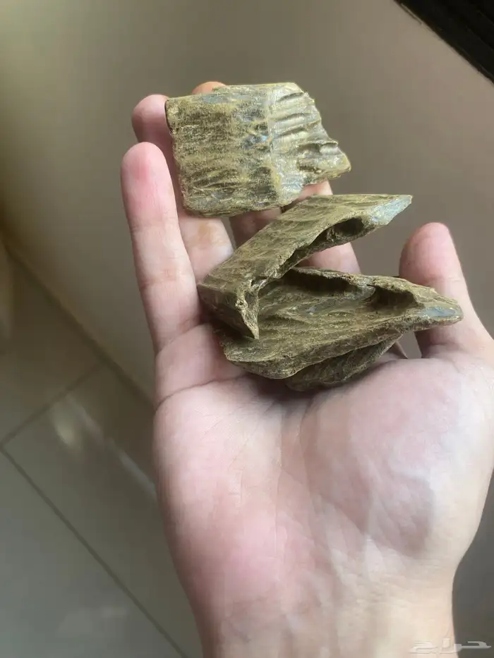 عود كلمنتان ازرق محسن 1 كيلو 2