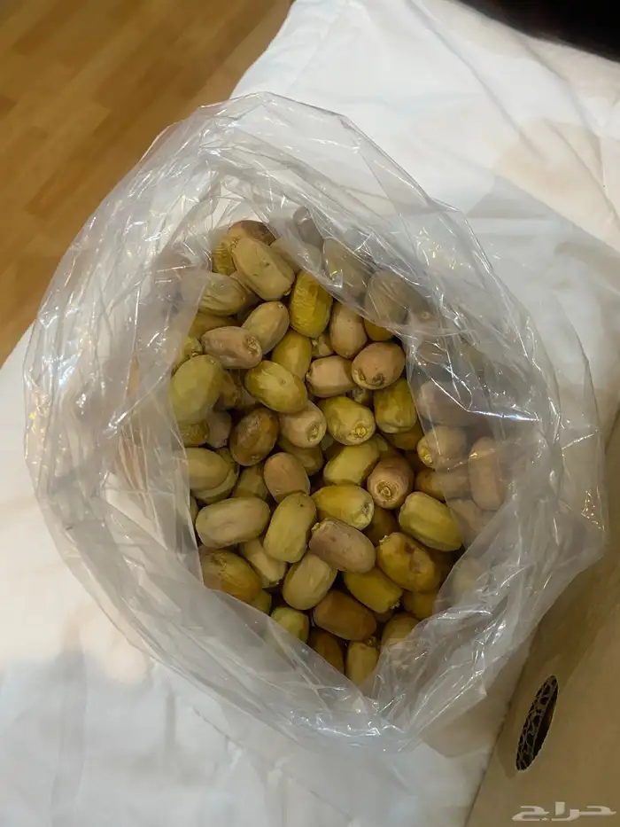 تمر قسب لذيذ ونادر 1