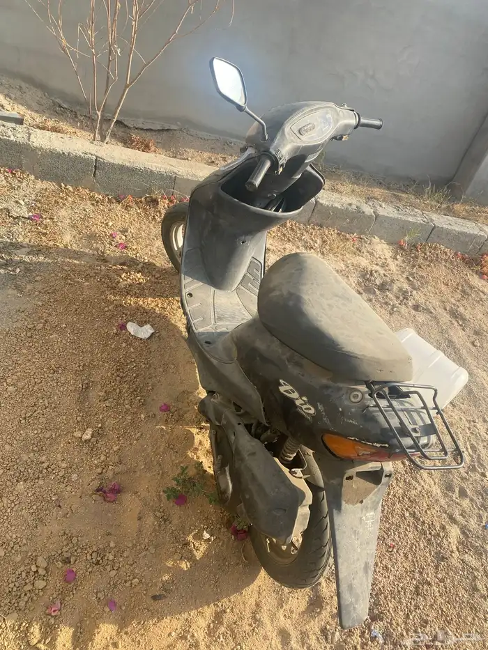 دباب بطة للبيع 2