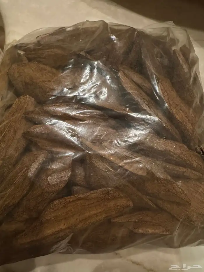عرض عود مروكي كيلو 0