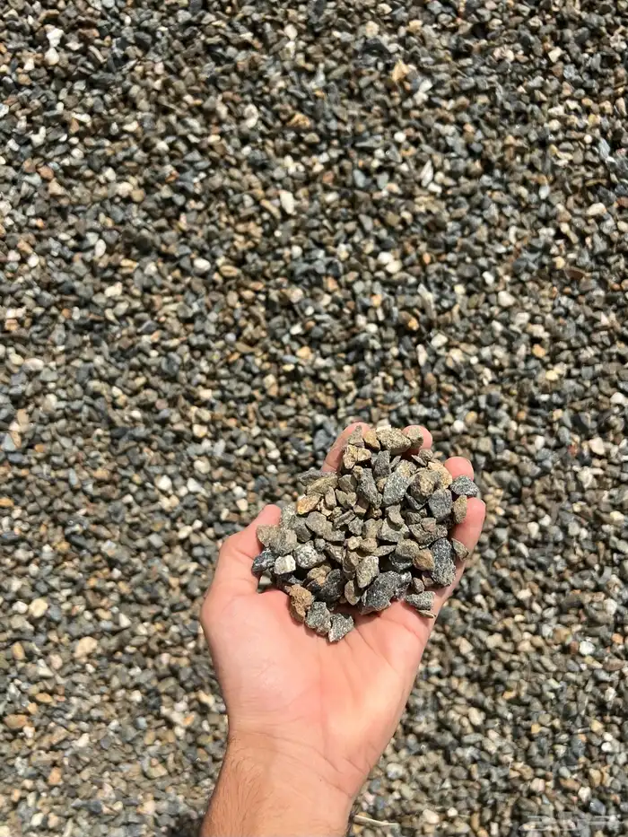 خرسان اسود توريد من الجنوب للرياض ب طن 0