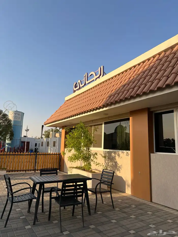 قط محتاج مساعده 3