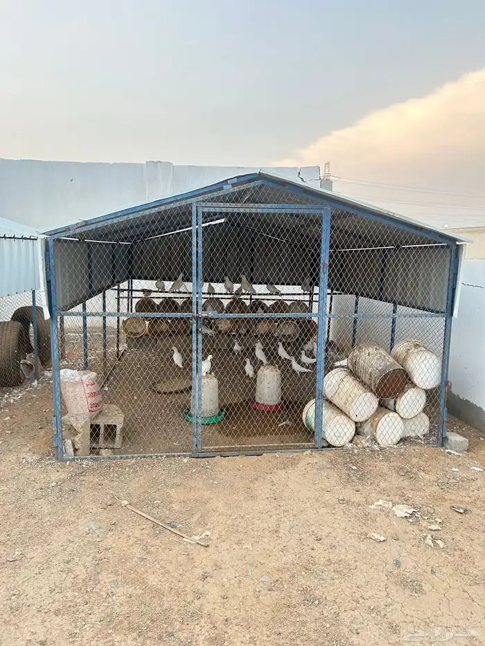 صندقة مع حمام فرنسي 0