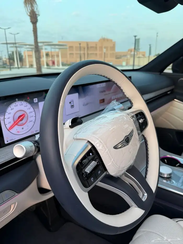 GV80 شبة اصفار اعلى فئة الوعلان 14
