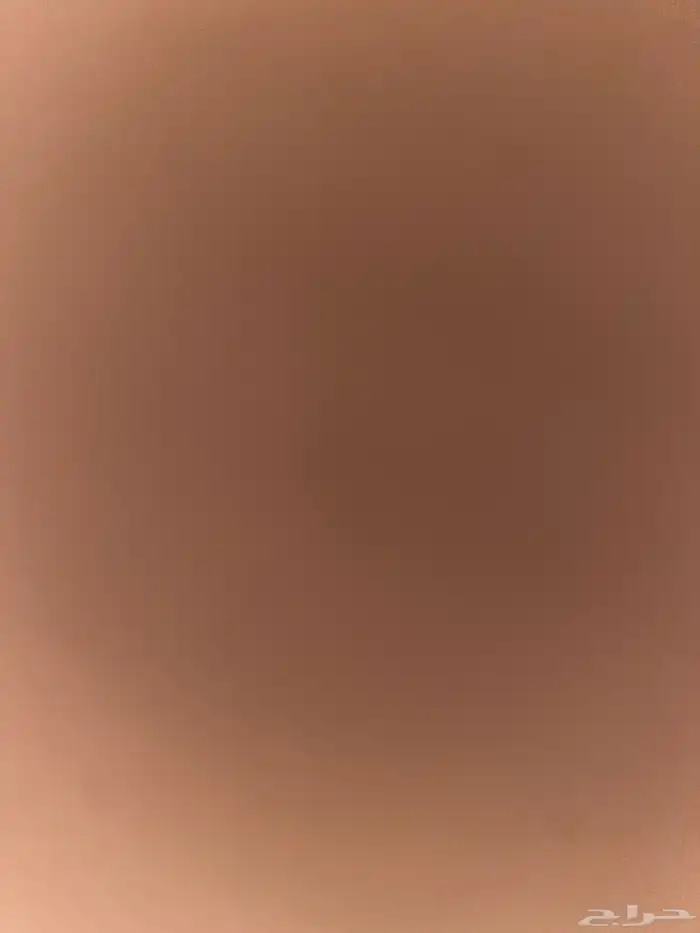 السلام عليكم يربع فيه واحد عنده حصان اصفر مرشوش 0