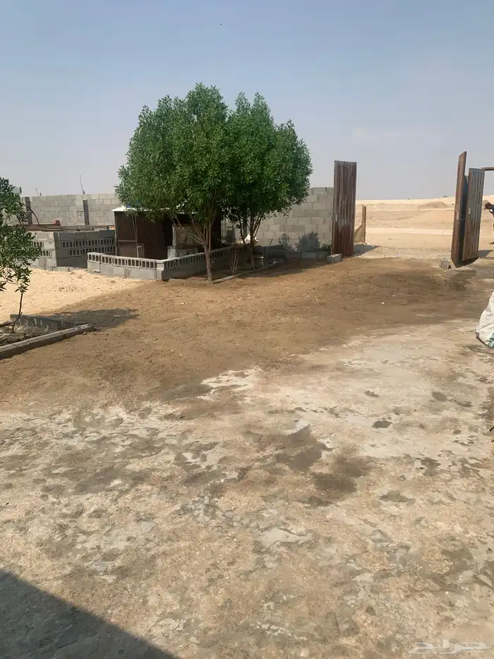 حوش غنم الحظائر الجديد شمال سوق الدمام 5
