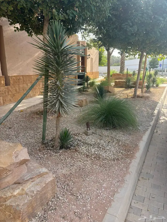 تصميم وتنسيق وتنفيذ لاند وهارد سكيب 0