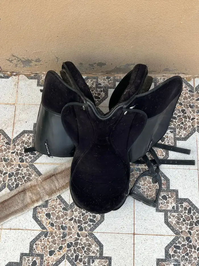 سرج خيل نظيف جدا 3