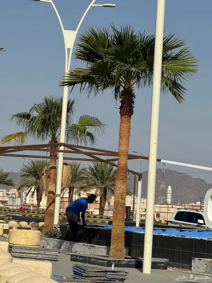 نافوره راقصه تفاعليه شبه جديده 2
