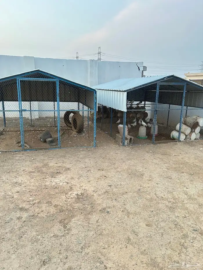 صندقة مع حمام فرنسي 2