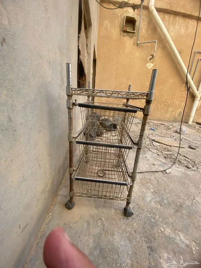 عربه مدري له فوق 10 سنوات يمكن 1