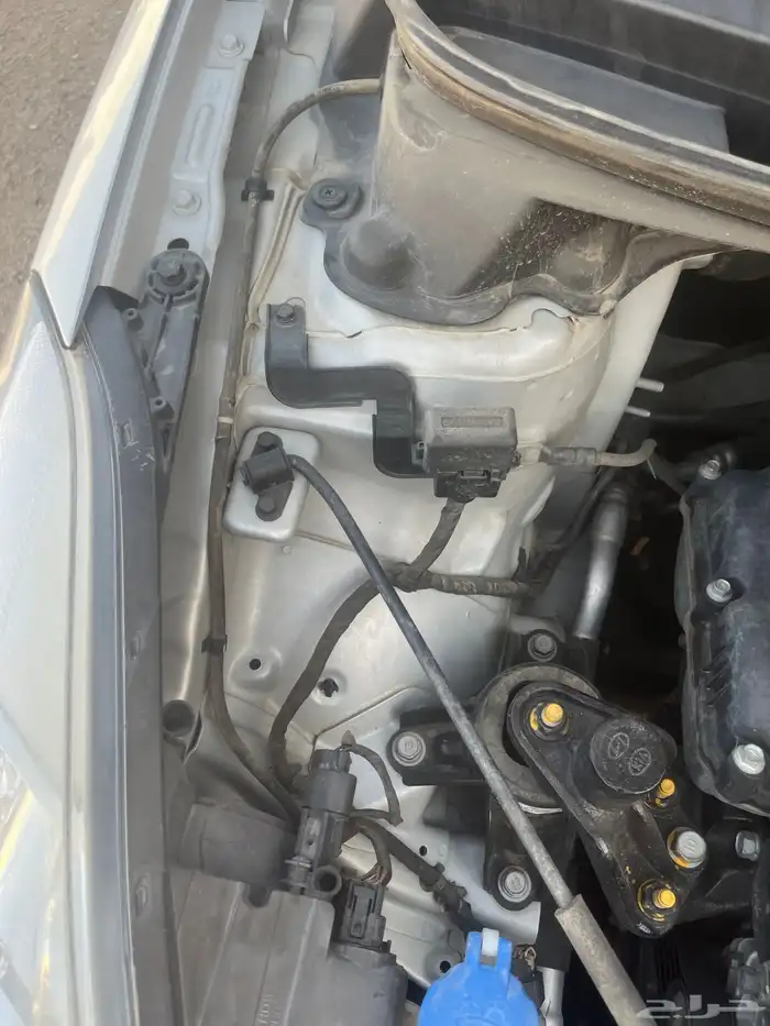 النتراء2012 7