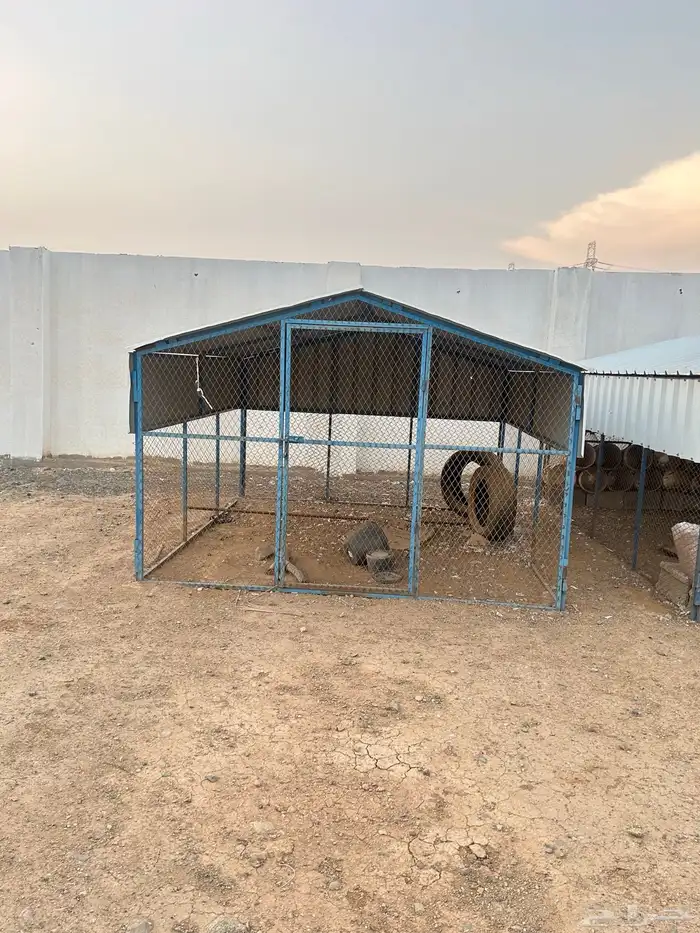 صندقة مع حمام فرنسي 1