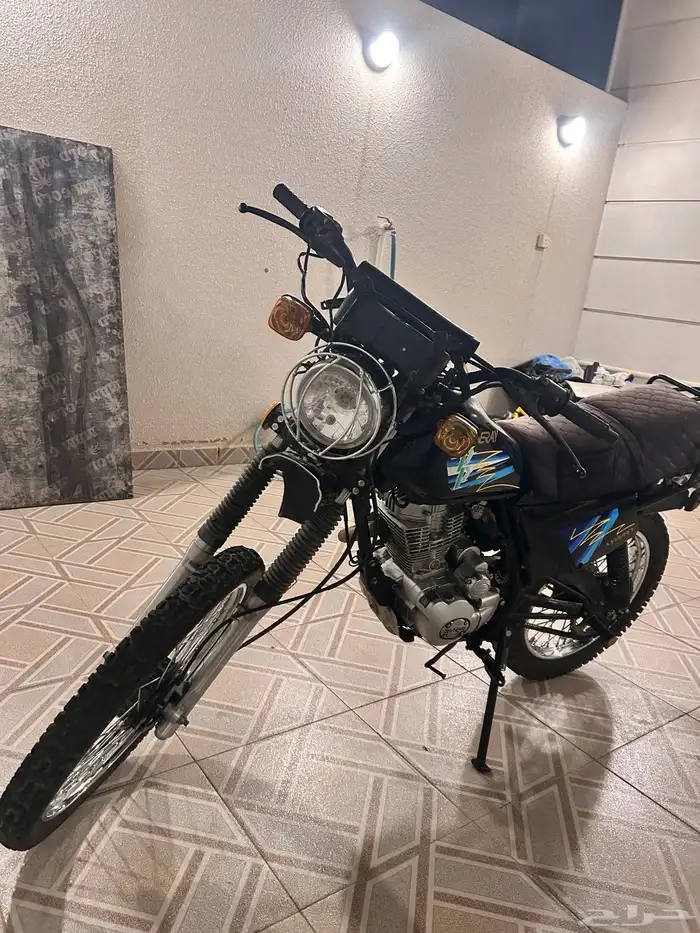 دباب صحراوي صيني 2