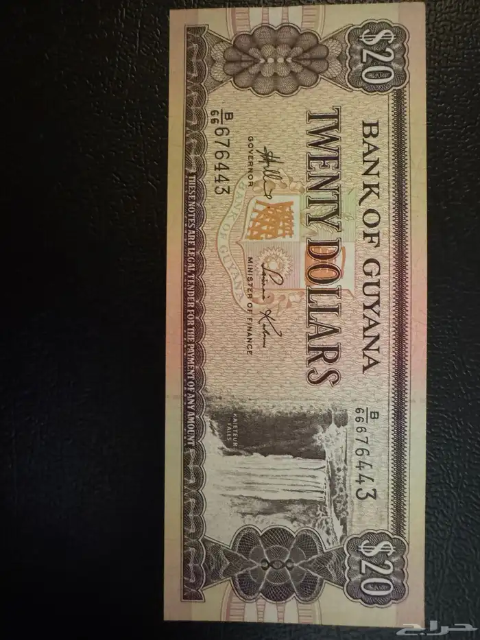 عملت دولة غيانا 0