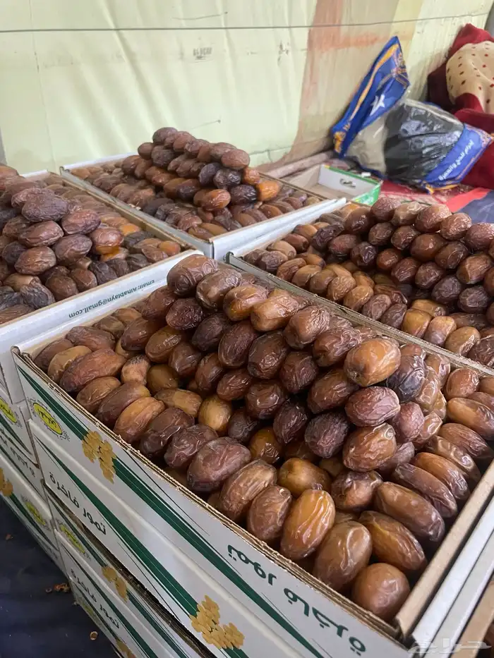 مجدولي درجه 2 0