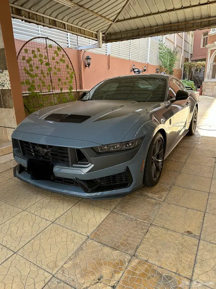 جدة 24