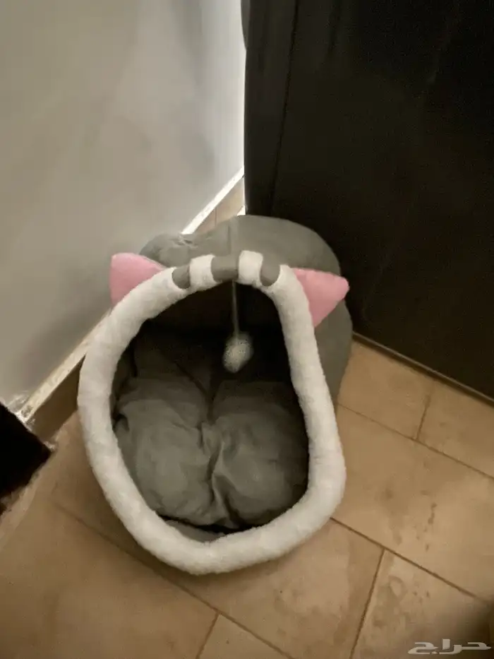 قطط 7