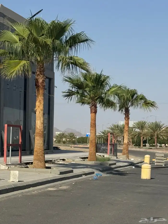 نافوره راقصه تفاعليه شبه جديده 3