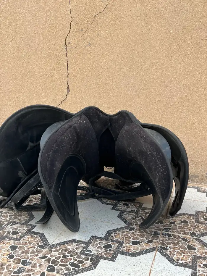 سرج خيل نظيف جدا 1