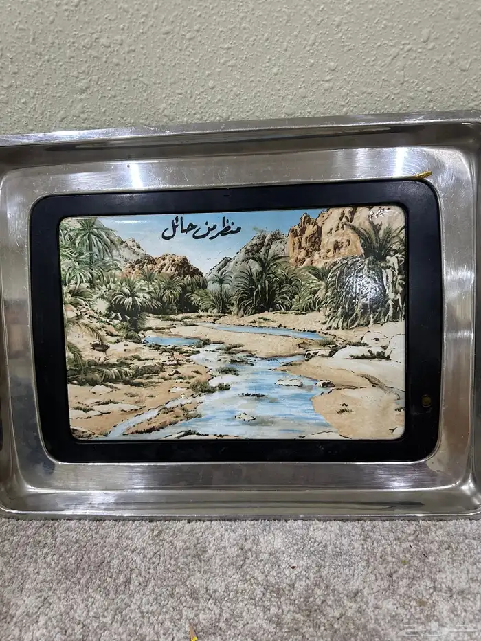 للبيع حمايات العساف 1