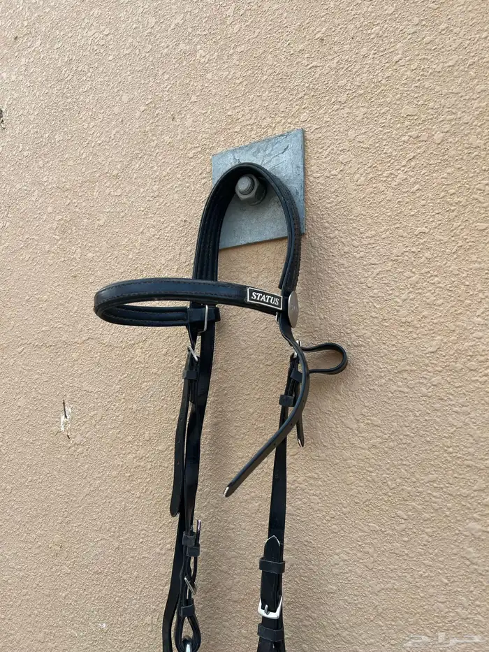 سرج خيل نظيف جدا 5