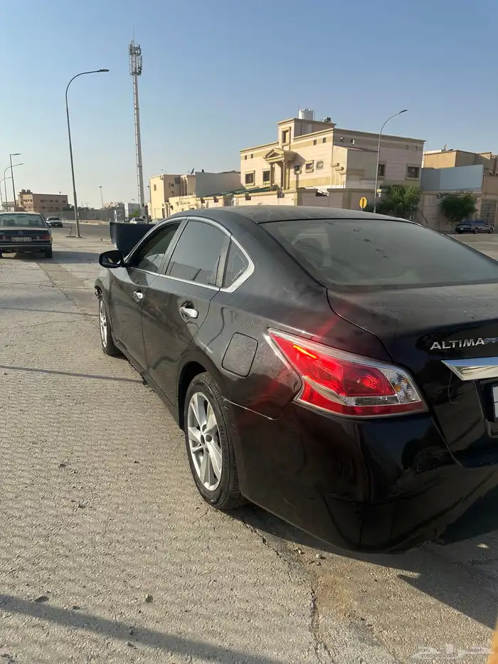 التيما 2013 1