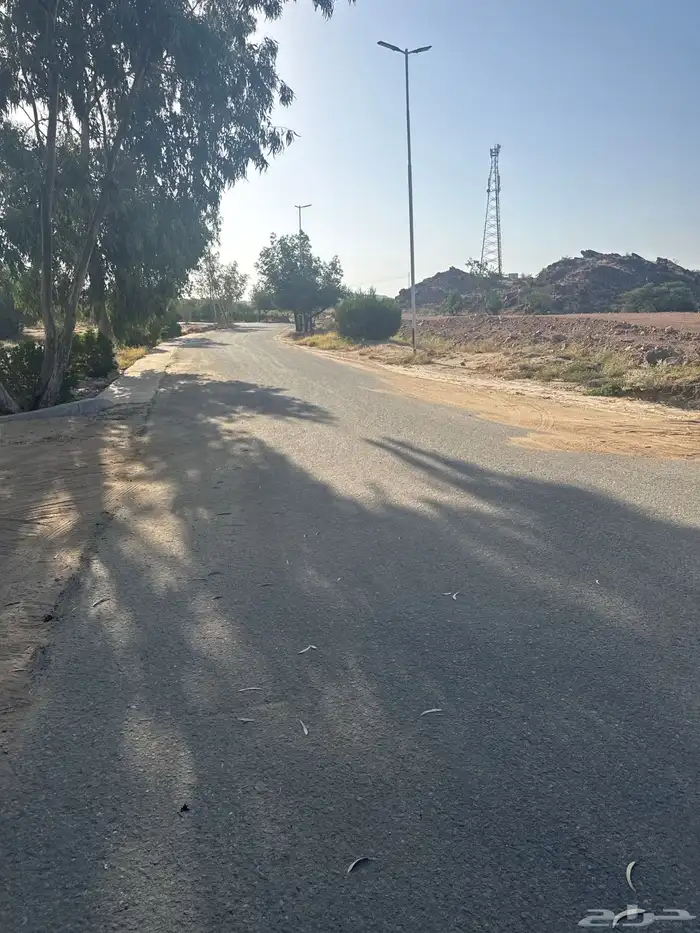 استثمار في منتزه سيسد الوطني في الطائف 0