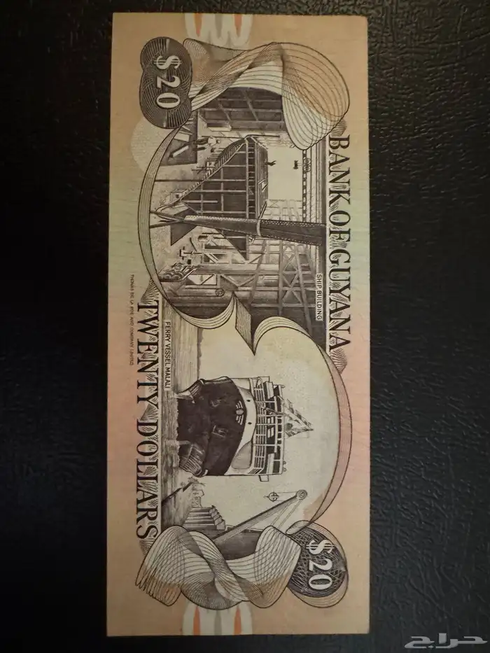 عملت دولة غيانا 1