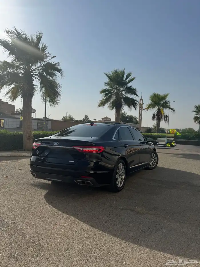 توريس 2021 1