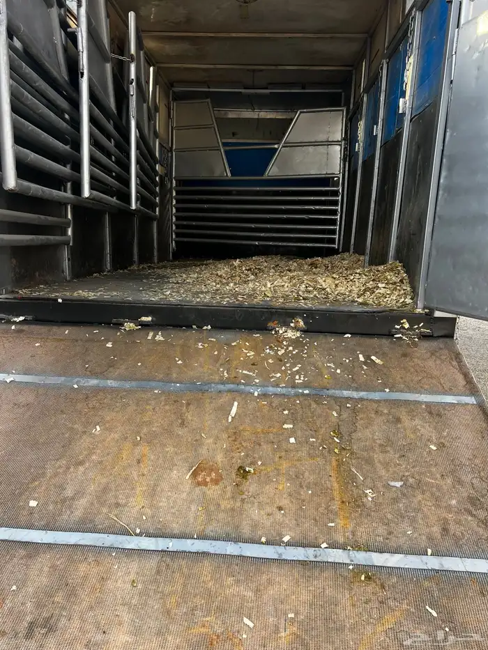 دنه خيل نقل 0