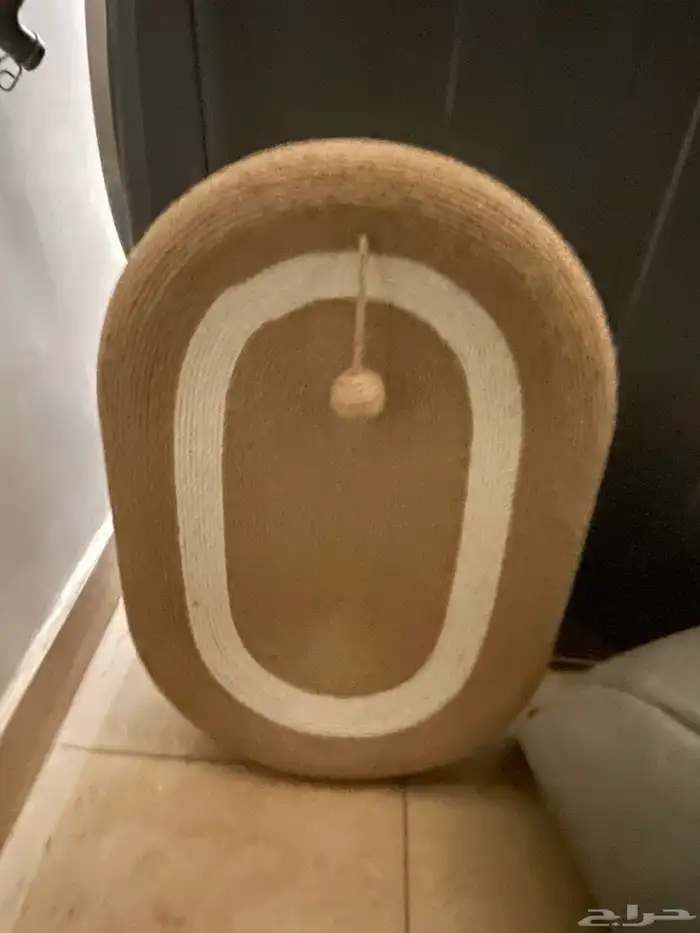 قطط 0