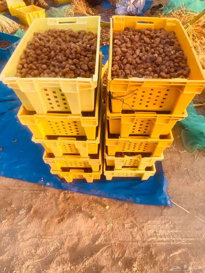 صناديق تم خلاص 0