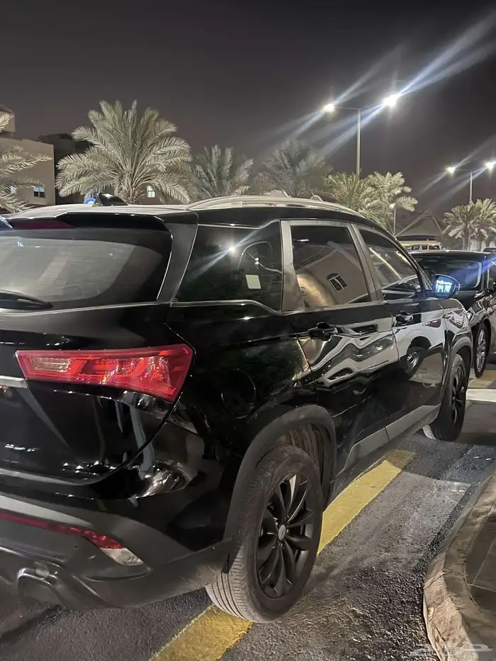شفرليه كبتيفيا 0