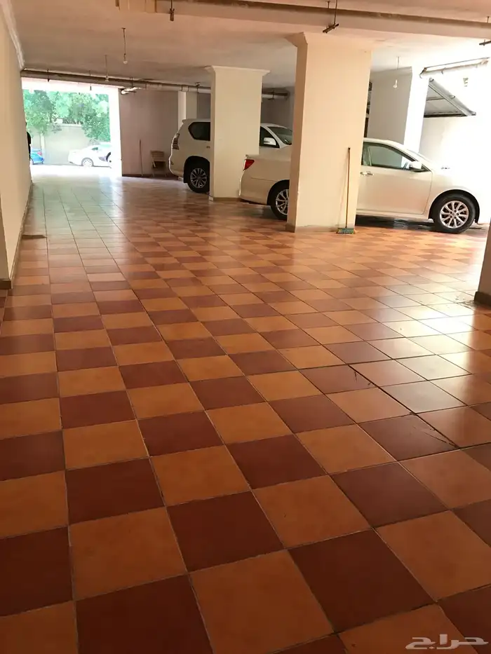 شقة في حي الربوة ثلاث غرف وصالة 1