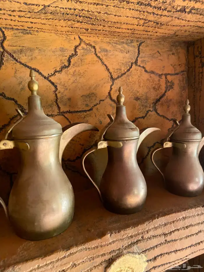 دلال الرسلان عمرها 25 سنه للبيع 0
