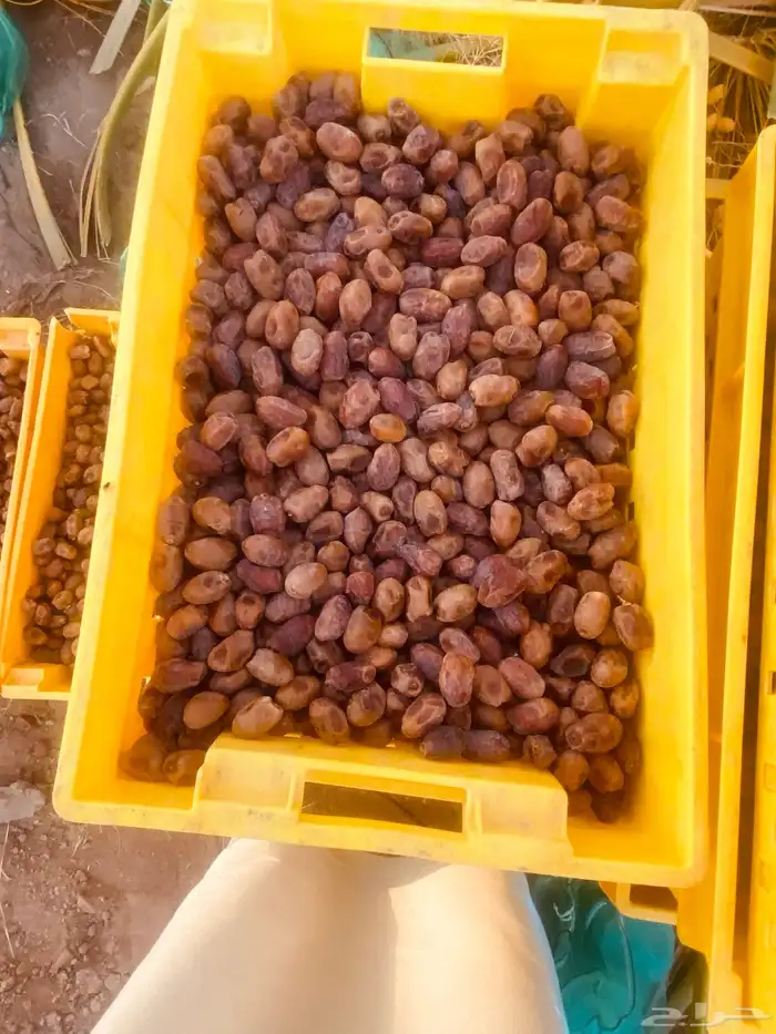 صناديق تم خلاص 4