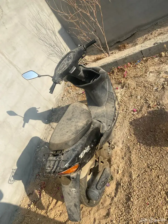 دباب بطة للبيع 1