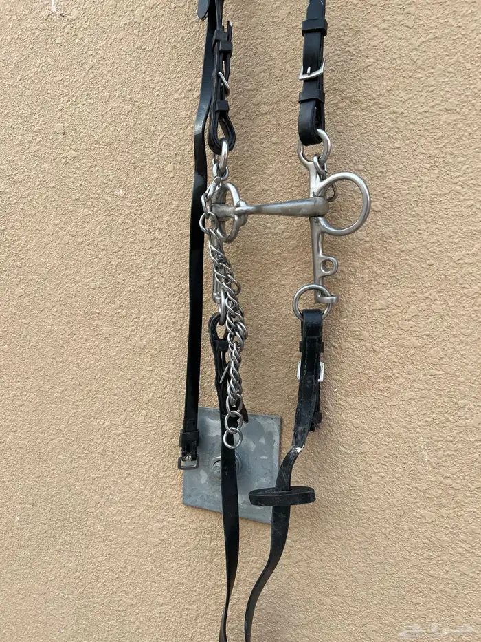 سرج خيل نظيف جدا 6