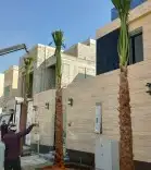 نخل للبيع واشنطنيا 6