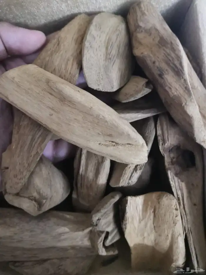 أبيع أنواع من العود 1