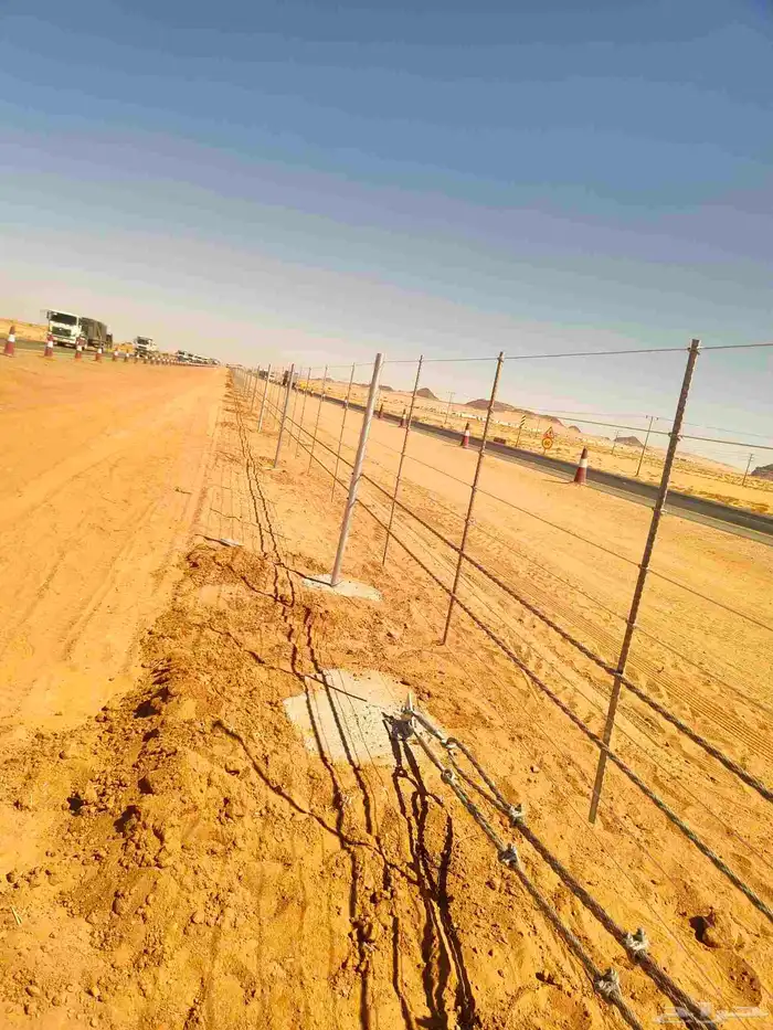 يوجد لدينا جميع انواع الشبوك انخيل واشجار الزيتون توريد وترك 12